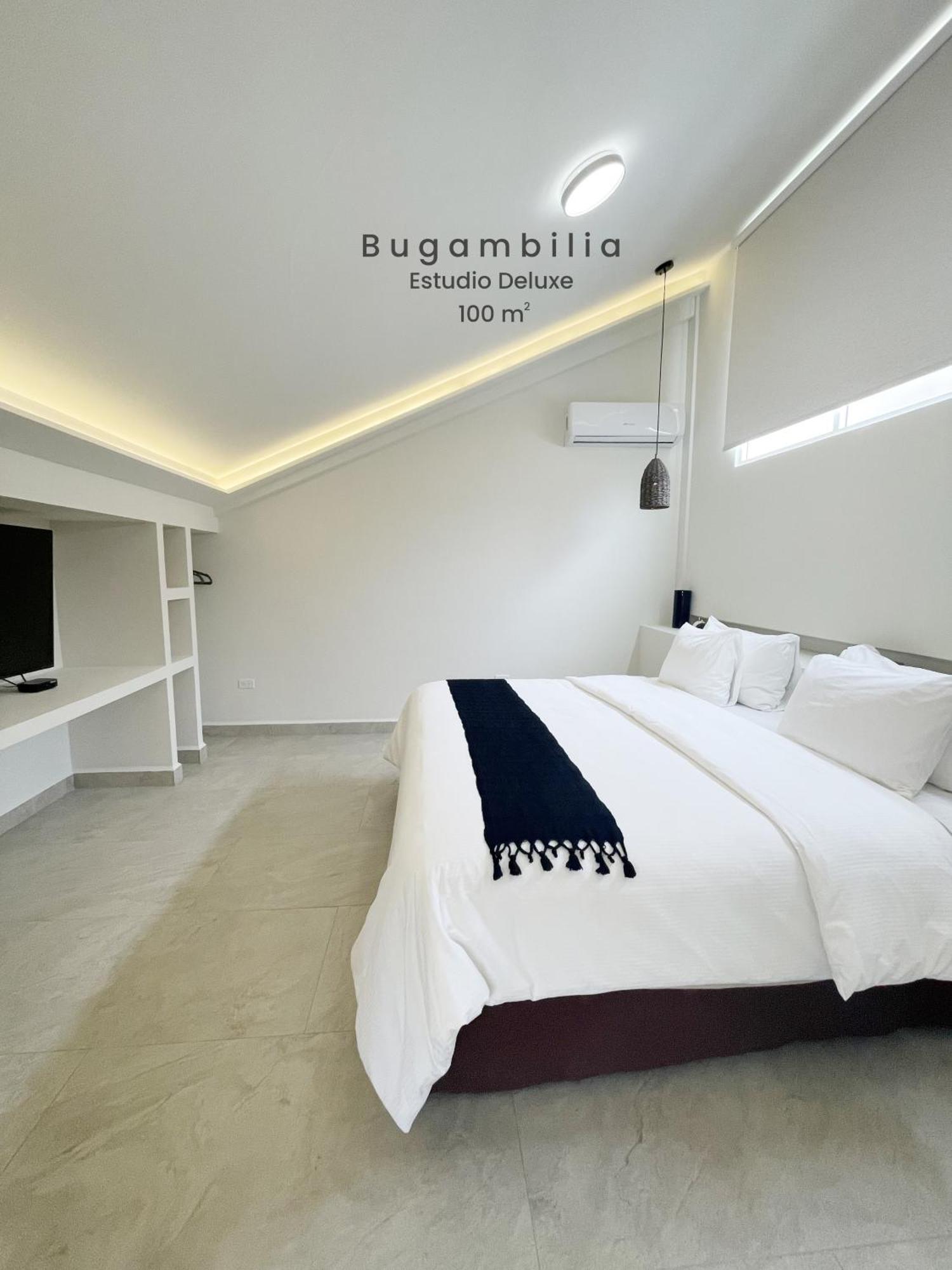 Marisol Hotel Boutique San José del Cabo Extérieur photo